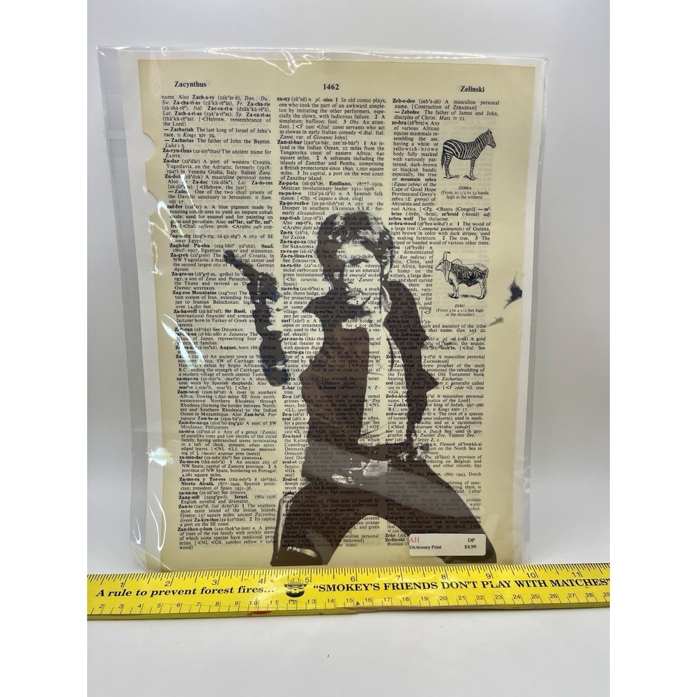 Han Solo Star Wars Dictionary Art Print Picture